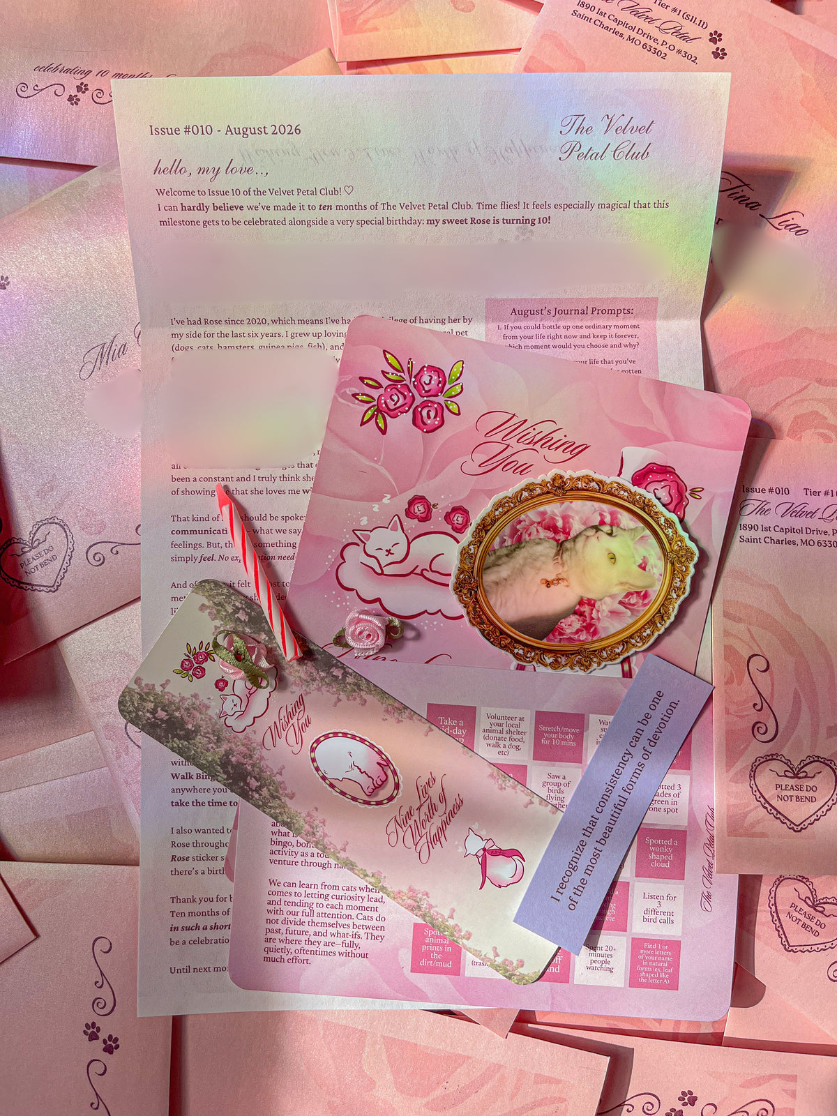 Rose's Birthday Soiree - TVPC Issue #010