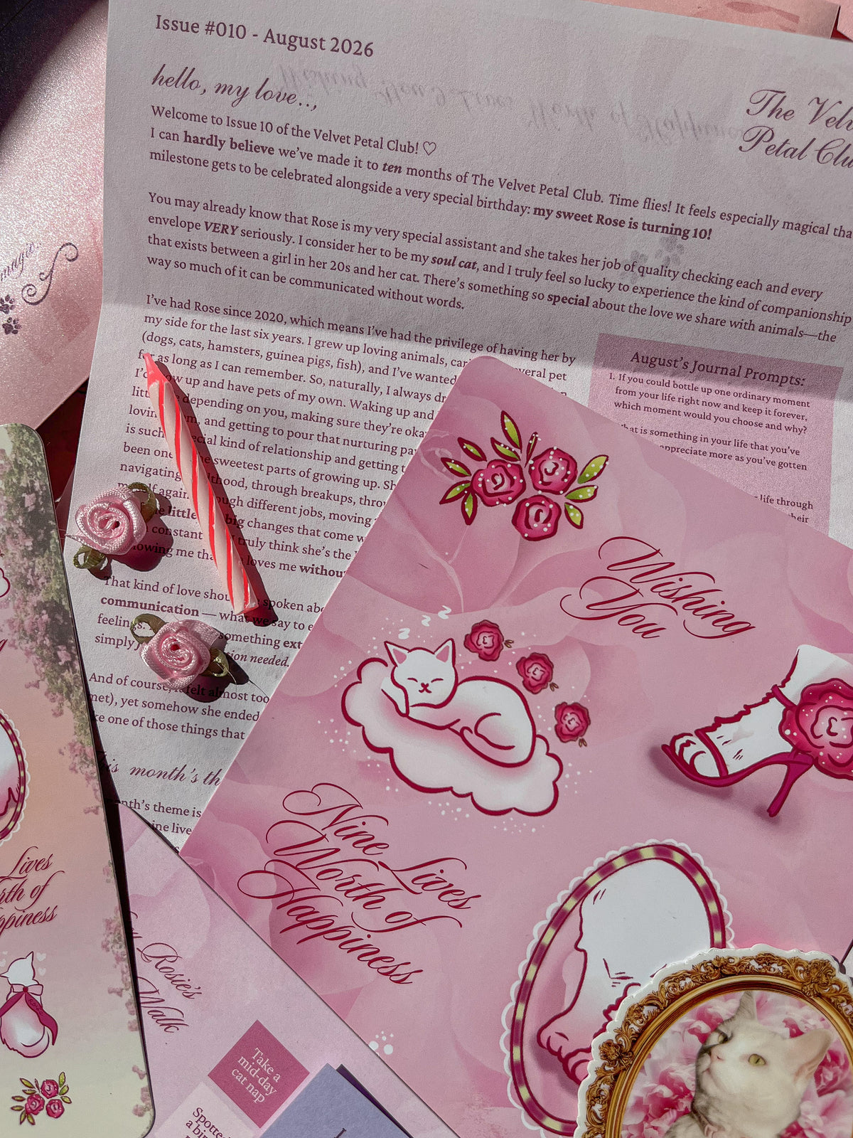 Rose's Birthday Soiree - TVPC Issue #010